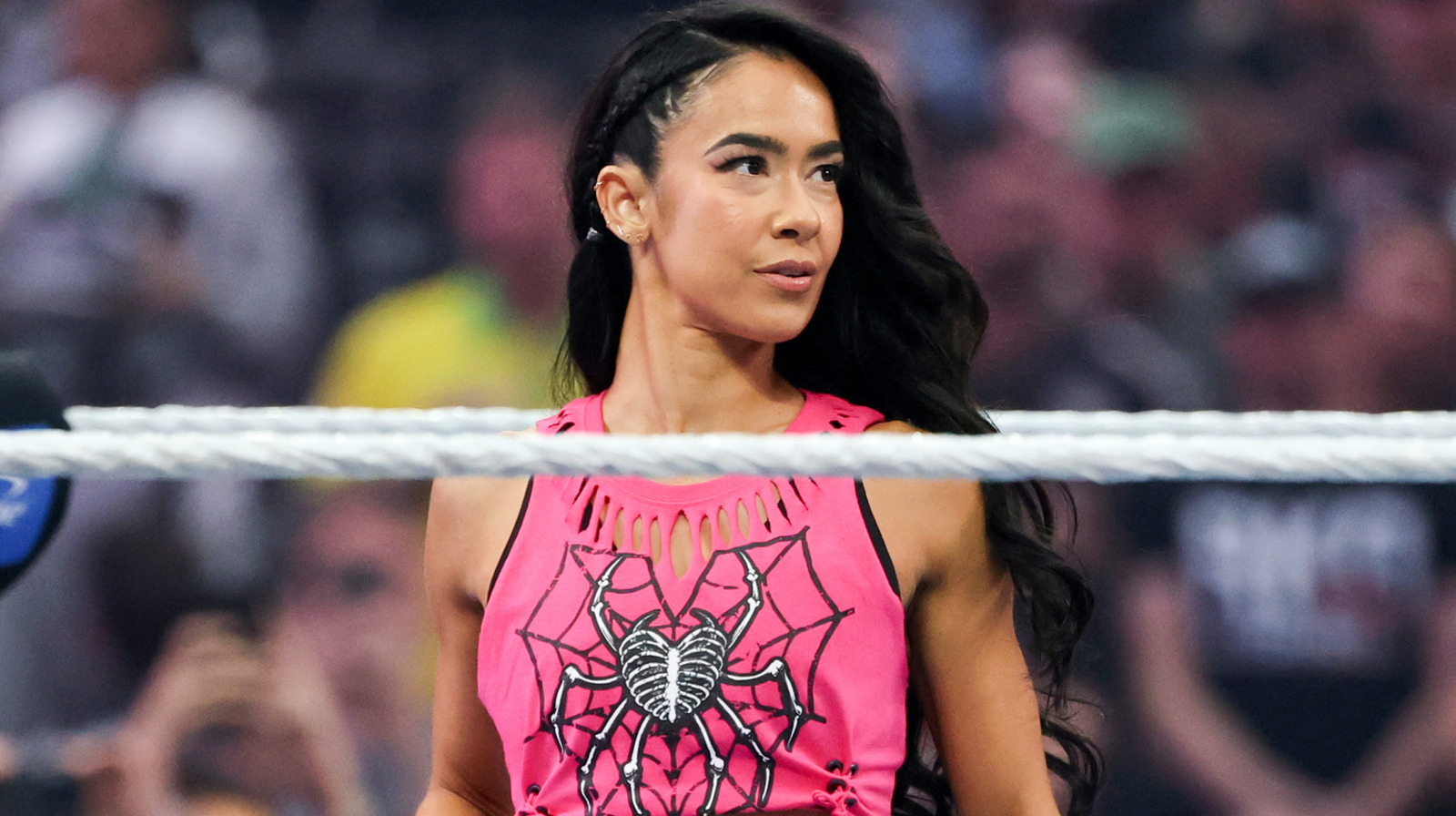 Endine WWE superstaar Kaitlyn arutleb endiste diivameistrite AJ Lee ja Paige'i hiljutiste tagasitulekute üle