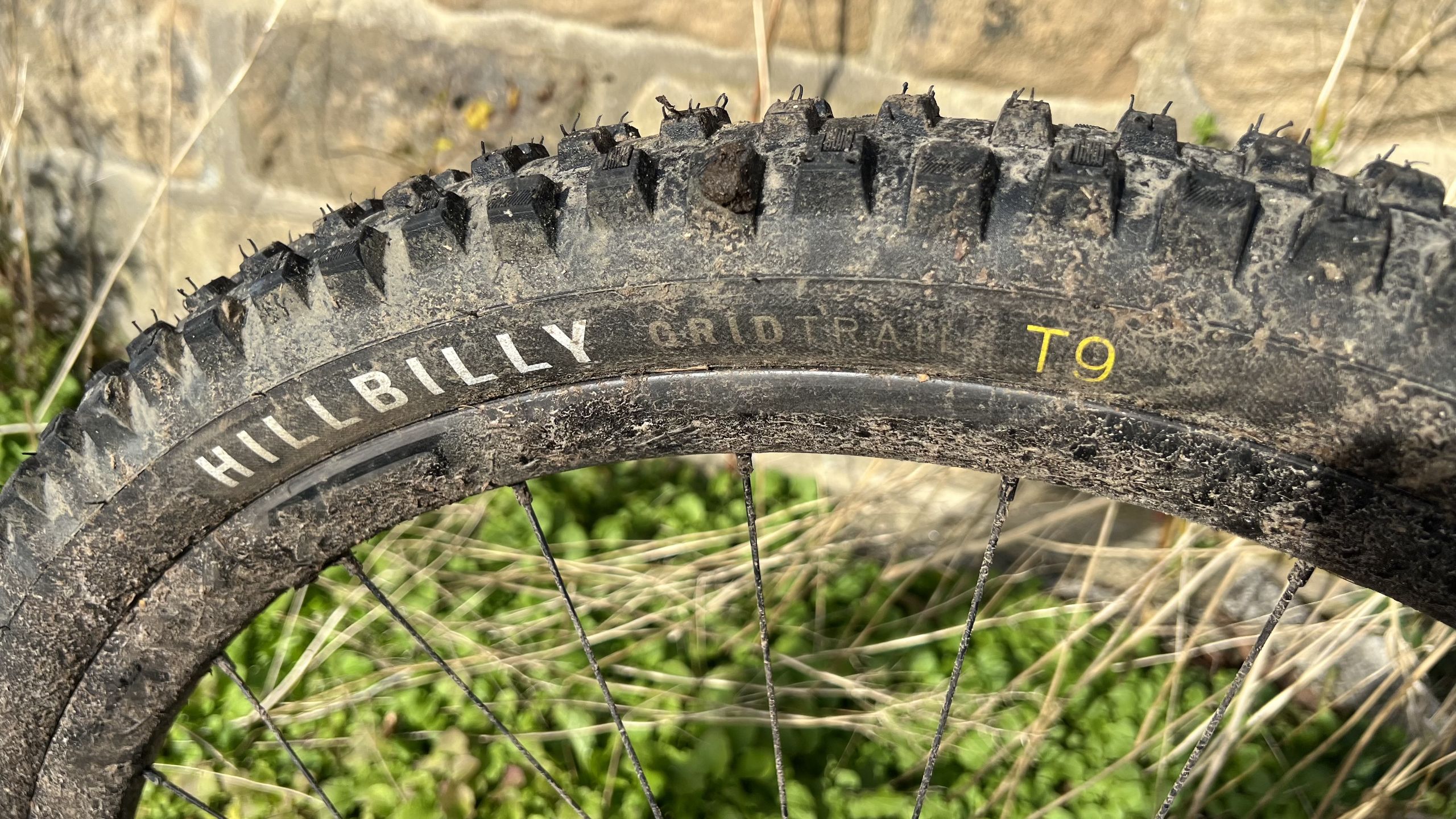 Hillbilly Grid Trail 2Bliss Ready T9 rehvide eksperthinnang