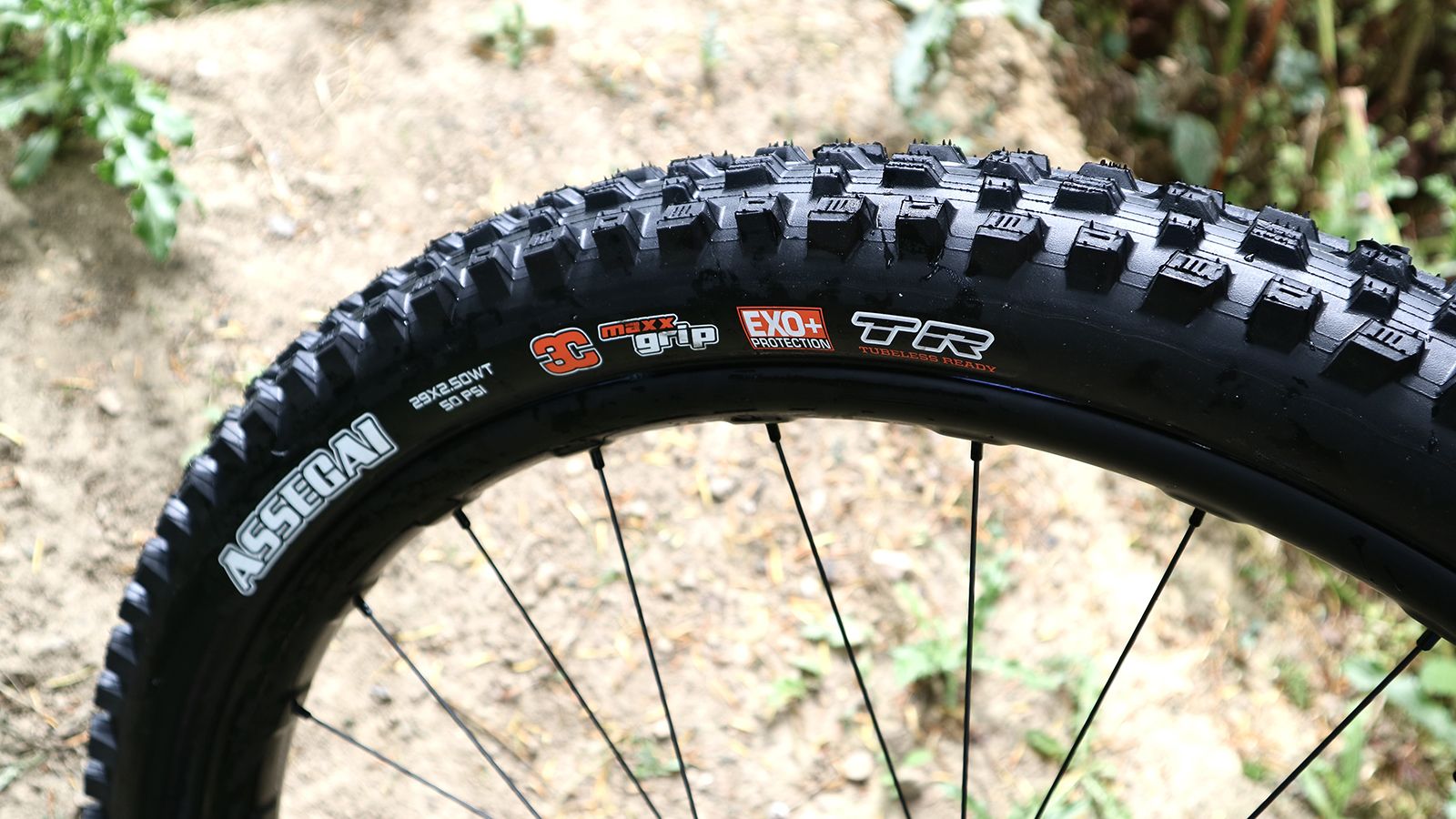 Maxxis Assegai 3C MaxxGrip EXO+