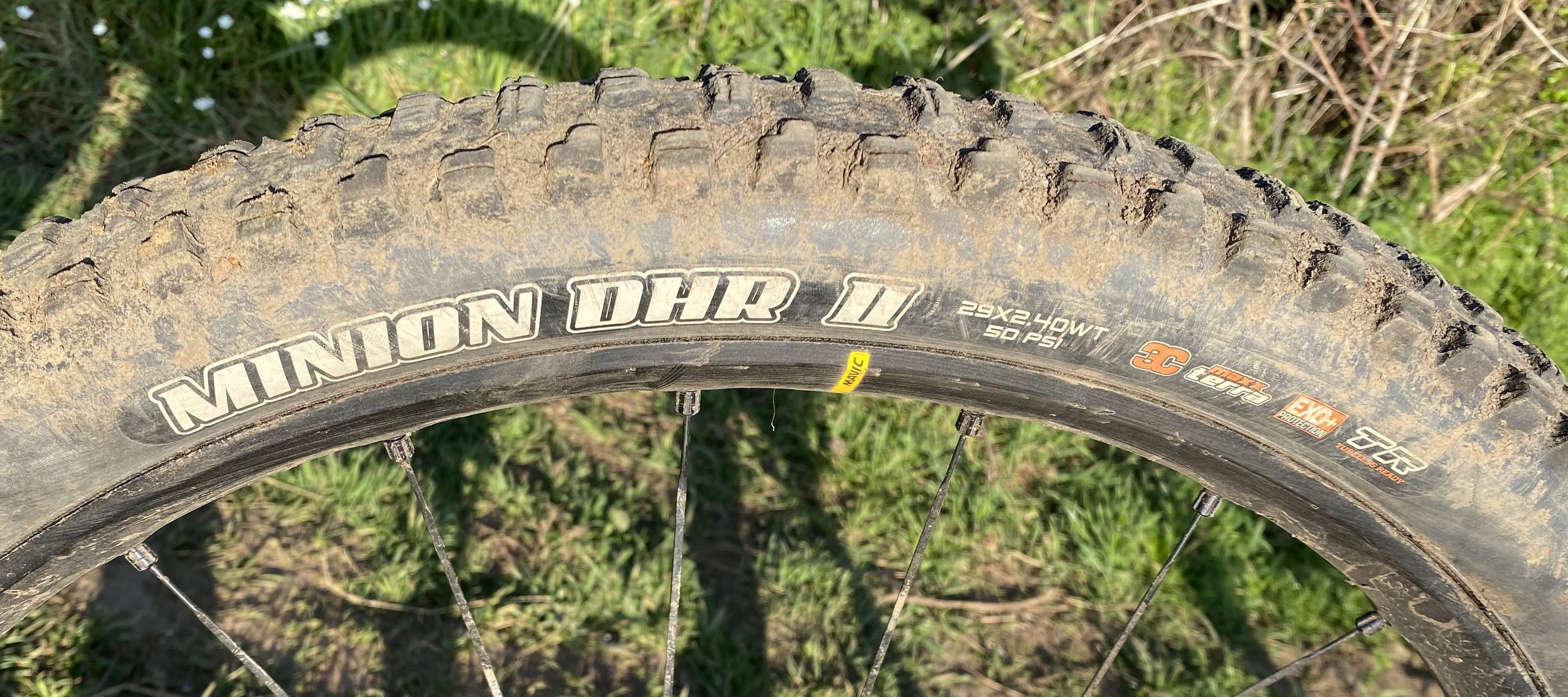 Maxxis Minion DHR II ülevaade