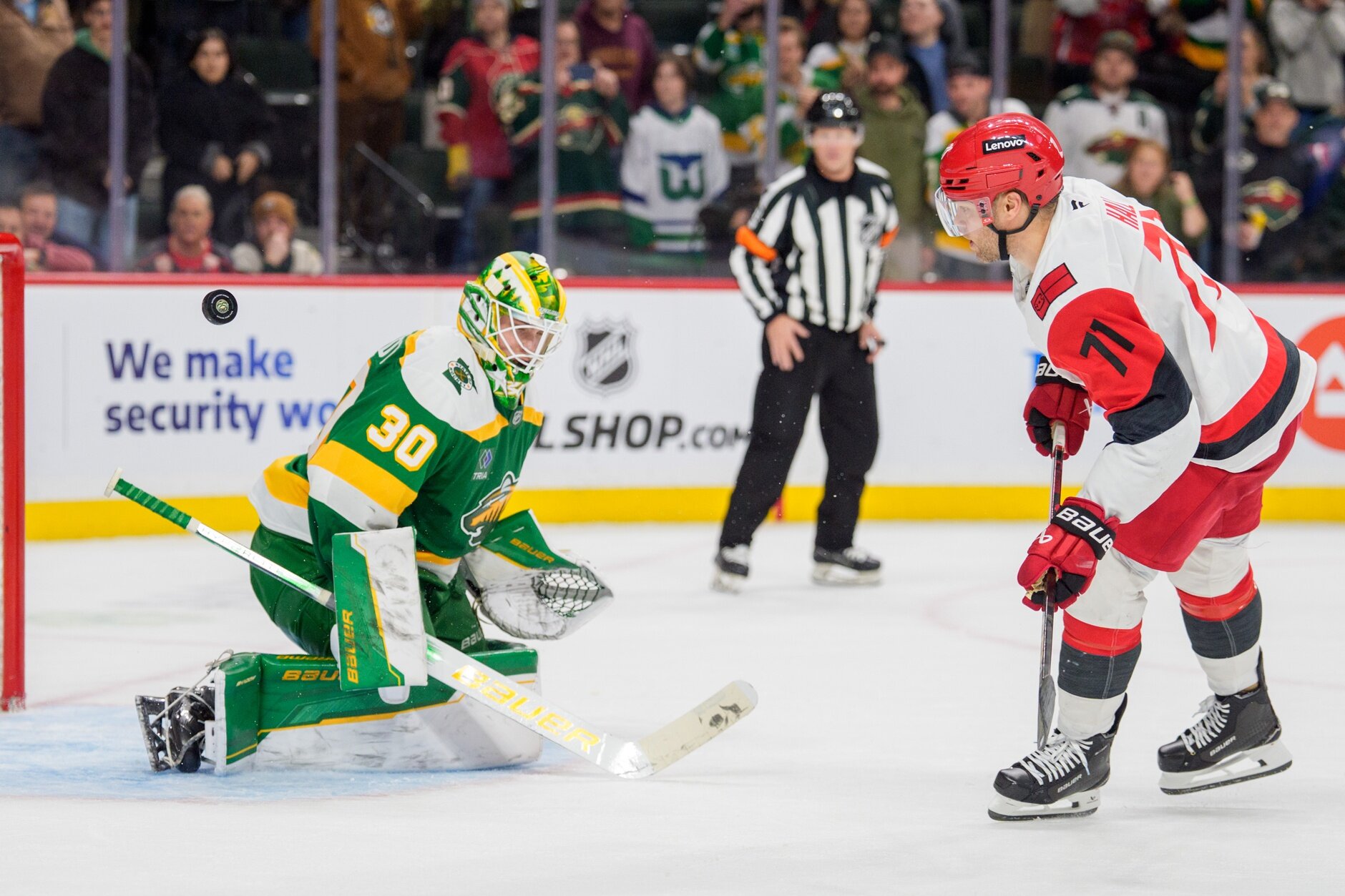Wild vajab oma Taylor Halli - Minnesota Wild